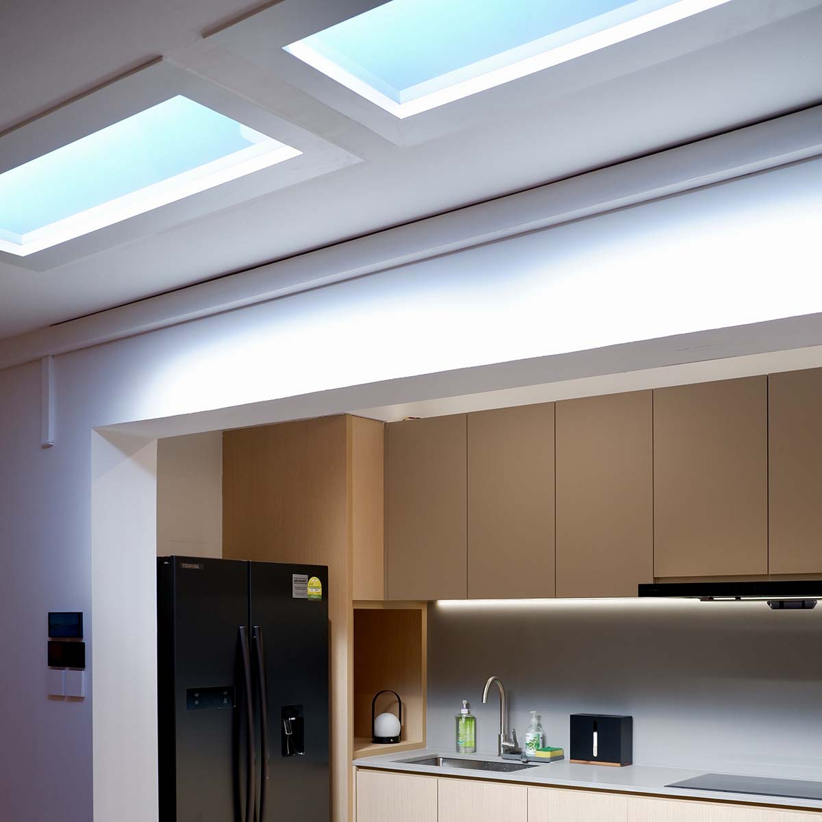 Singapore Skylight