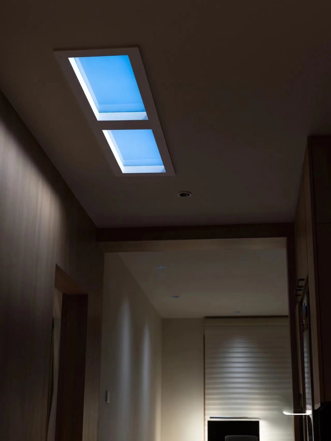 Skylight 60W - 60 x 30 cm